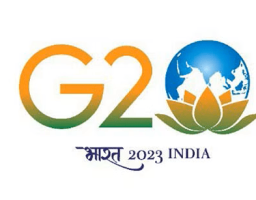 g20 g20
